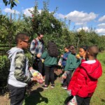 School Field Trip to Apple Orchard